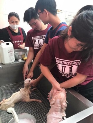 106年參與公益精彩回顧圖片