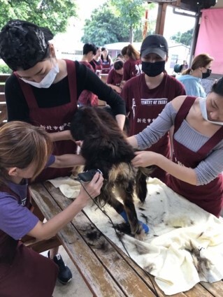 106年參與公益精彩回顧圖片
