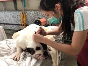 106年參與公益精彩回顧圖片
